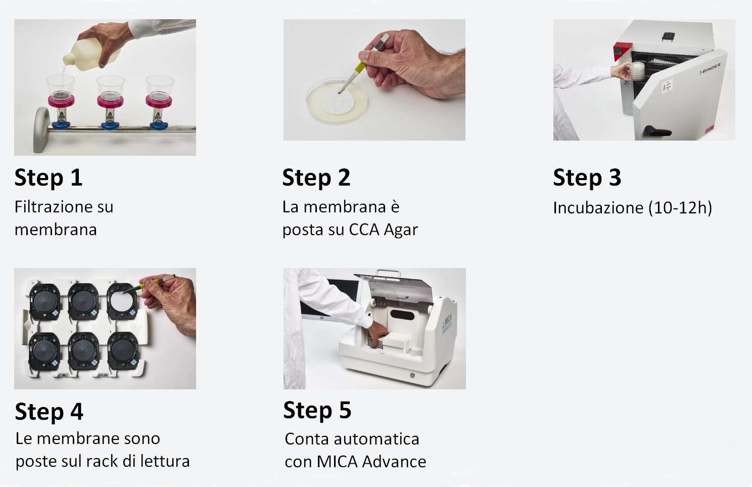 MICA Advance Coliformi Totali - Procedimento schematico di analisi